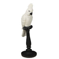Papagei Figur in Weiß