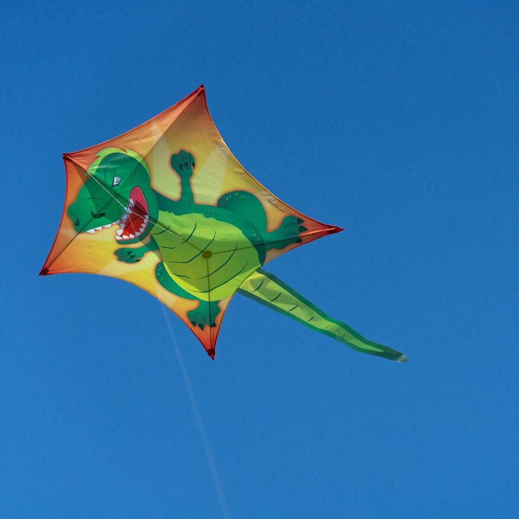 CIM Drachen Penta T-Rex 167cm x 102cm Einleiner Flugdrachen Kinder Drachenschnur