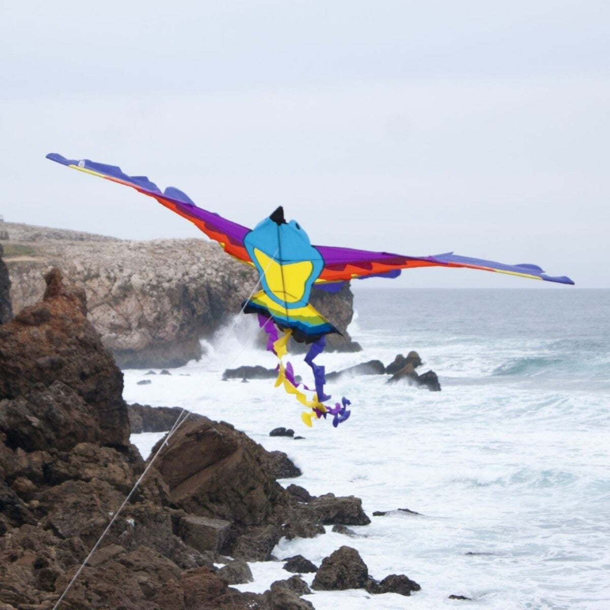 CIM Kinder-Drachen Bird Drachen PARADISE Flugdrachen inkl. Drachenschnur