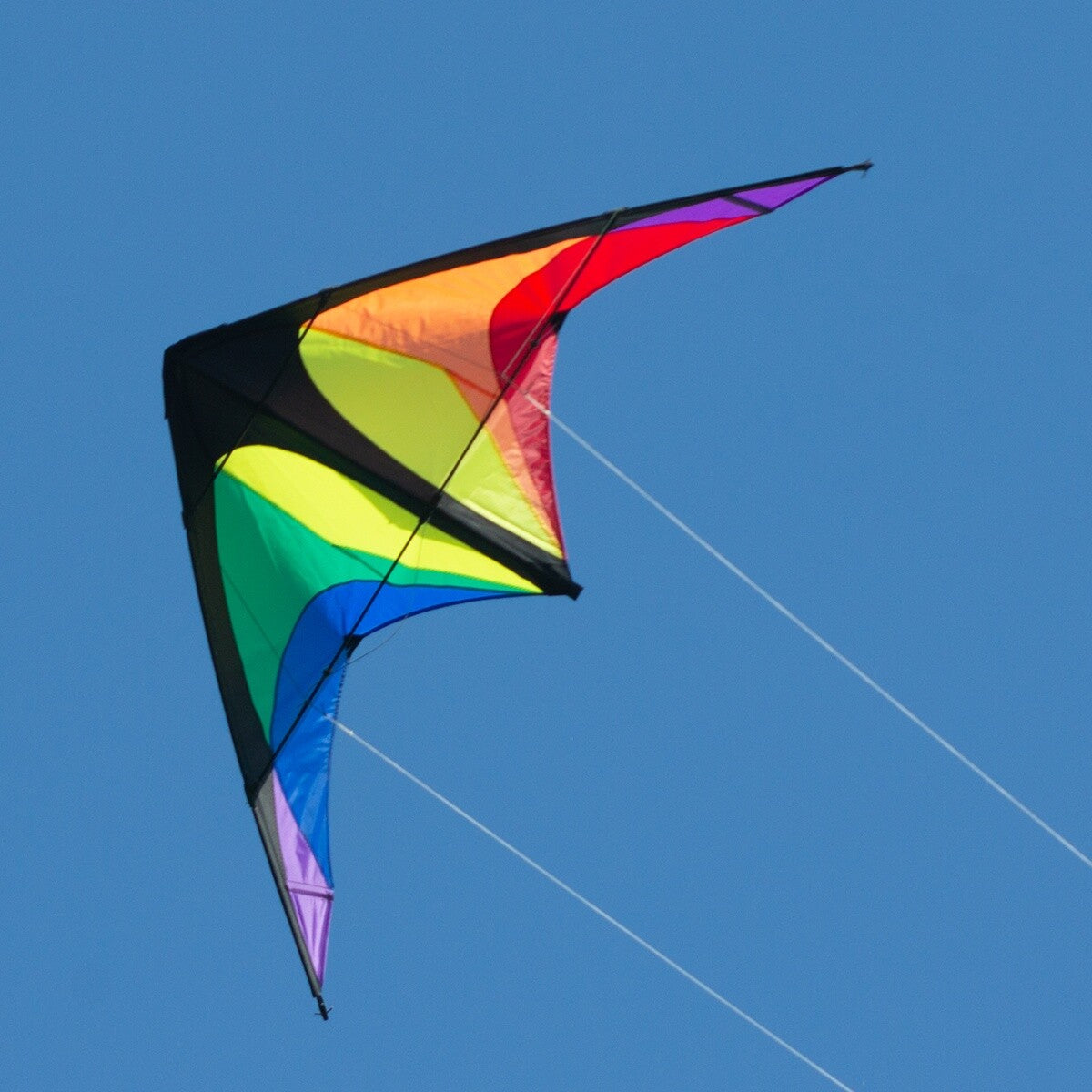 CIM Lenkdrachen Power Hawk Rainbow Drachen 155cmx75cm inkl. Steuerleinen