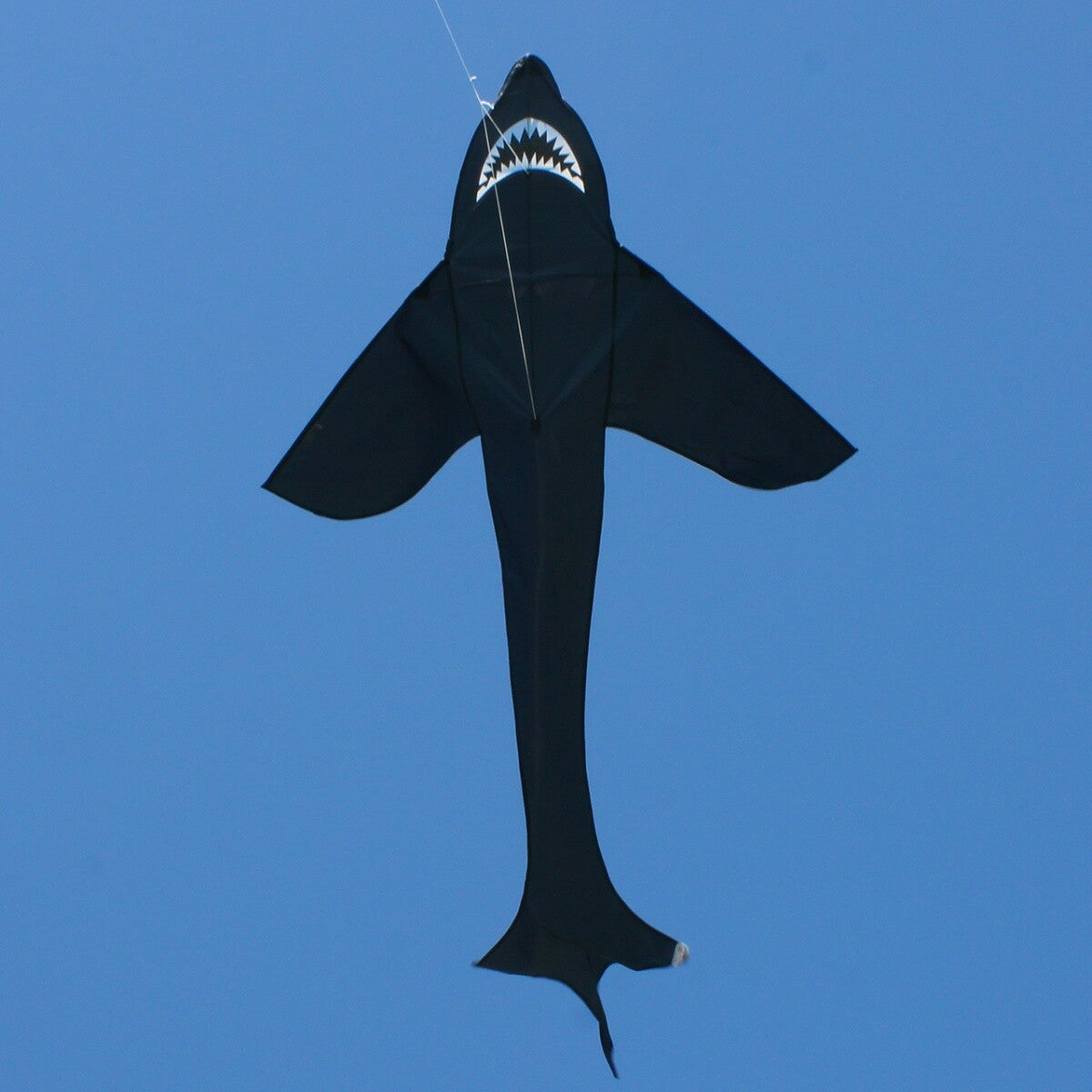 CIM Kinder-Drachen Sky Shark Einleiner-Flugdrachen inkl Drachenschnur fliegen