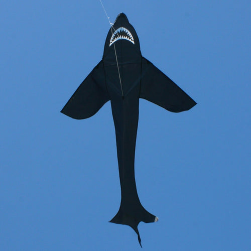 CIM Kinder-Drachen Sky Shark Einleiner-Flugdrachen inkl Drachenschnur fliegen