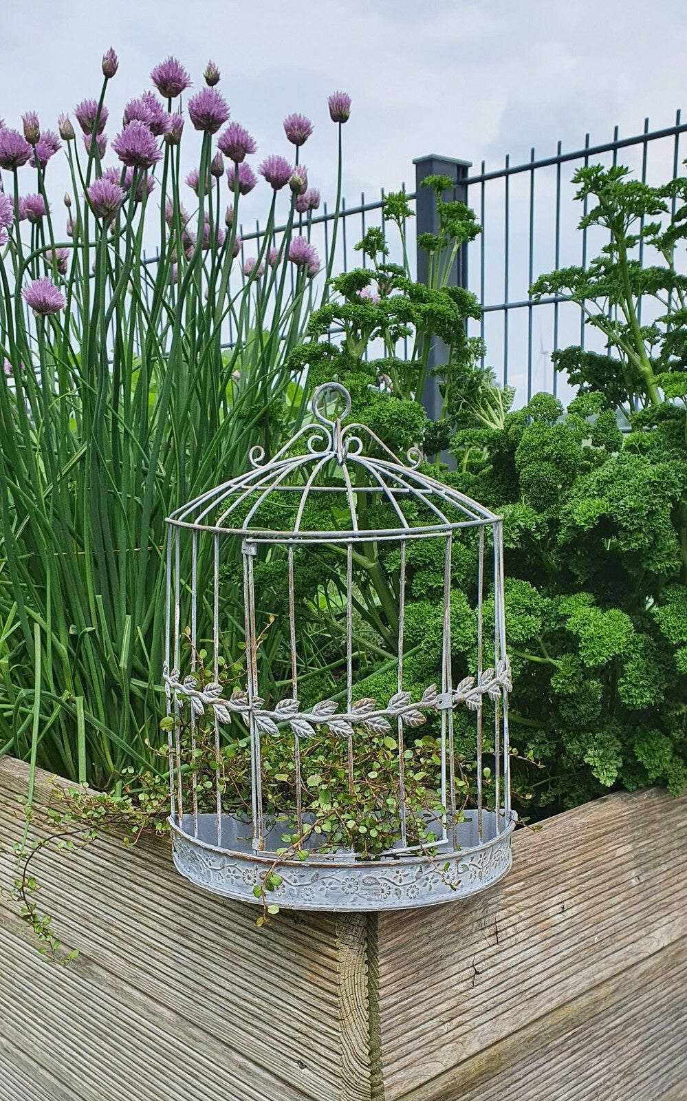 Deko VOGELKÄFIG zum Aufhängen Metall Pflanzendeko Blumen- /Pflanzkäfig antikgrau