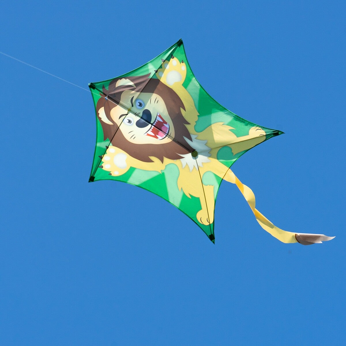 CIM Drachen Penta Löwe 167cm x 102cm Einleiner Flugdrachen Kinder Drachenschnur