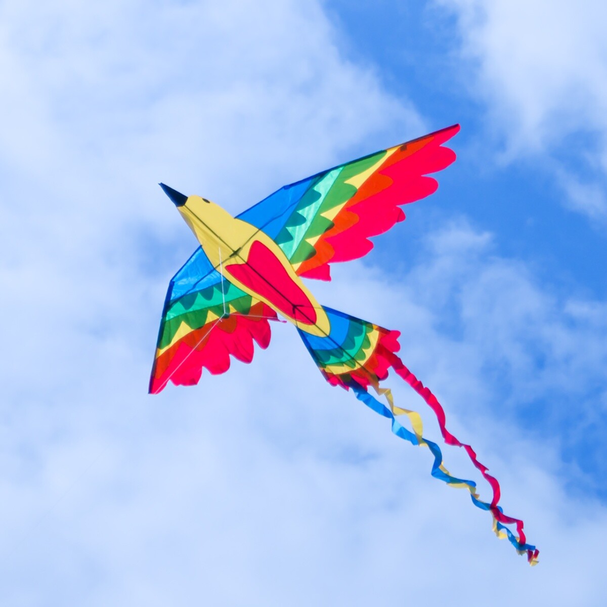 CIM Kinder-Drachen Bird Drachen RAINBOW Flugdrachen inkl. Drachenschnur