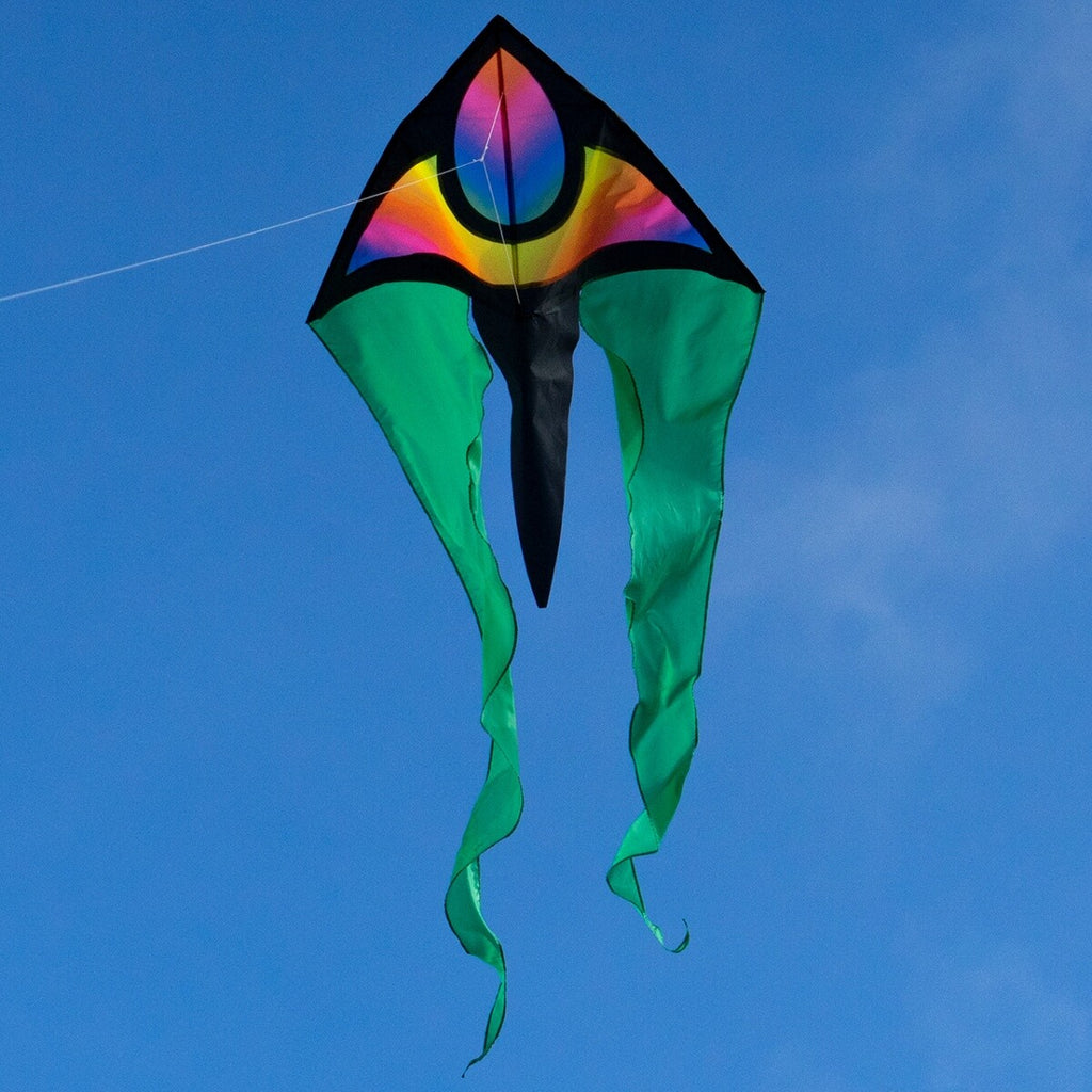 CIM Drachen F-Tail XM STARDUST Flugdrachen Drachenschnur Kinderdrachen Wind