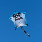 CIM Drachen Penta Waschbär 167cm x 102cm Einleiner Flugdrachen Kinder Schnur