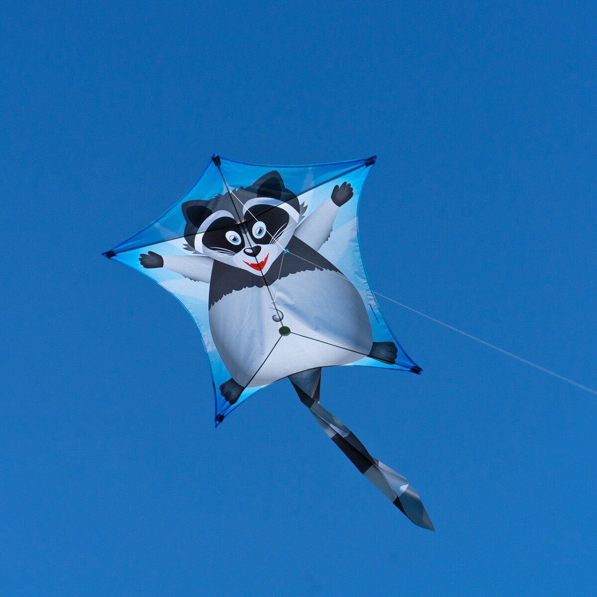 CIM Drachen Penta Waschbär 167cm x 102cm Einleiner Flugdrachen Kinder Schnur