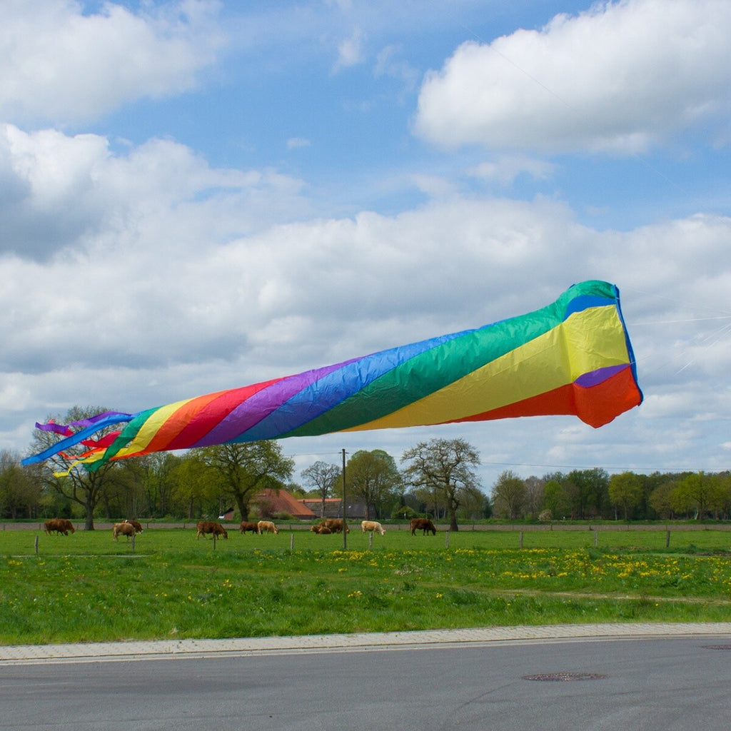 CIM Windturbine 220 RAINBOW wetterfest Ø50cm Länge 220cm Windsack Garten Deko
