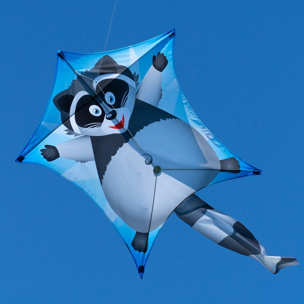 CIM Drachen Penta Waschbär 167cm x 102cm Einleiner Flugdrachen Kinder Schnur