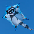 CIM Drachen Penta Waschbär 167cm x 102cm Einleiner Flugdrachen Kinder Schnur