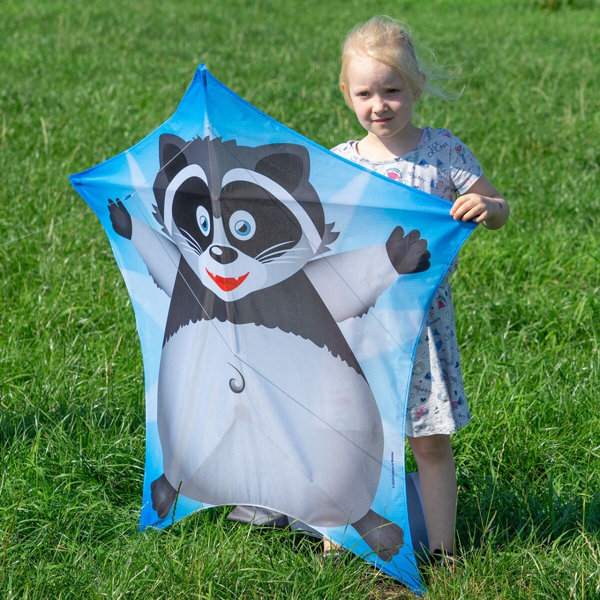 CIM Drachen Penta Waschbär 167cm x 102cm Einleiner Flugdrachen Kinder Schnur