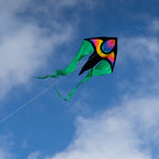 CIM Drachen F-Tail XM STARDUST Flugdrachen Drachenschnur Kinderdrachen Wind