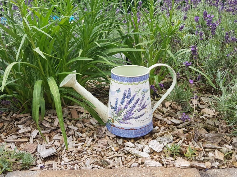 Gießkanne dekorativ Lavendel-Design  Krug Metall  Nostalgie Kanne