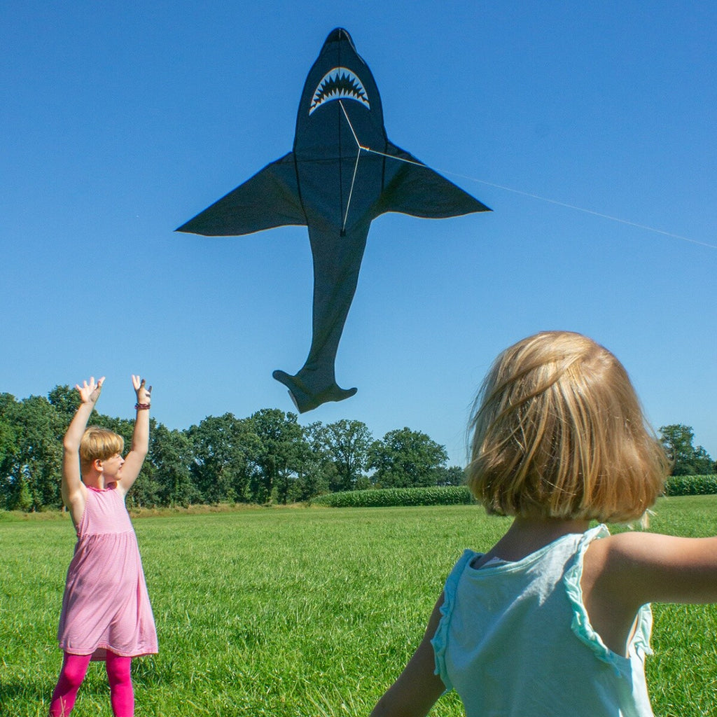 CIM Kinder-Drachen Sky Shark Einleiner-Flugdrachen inkl Drachenschnur fliegen