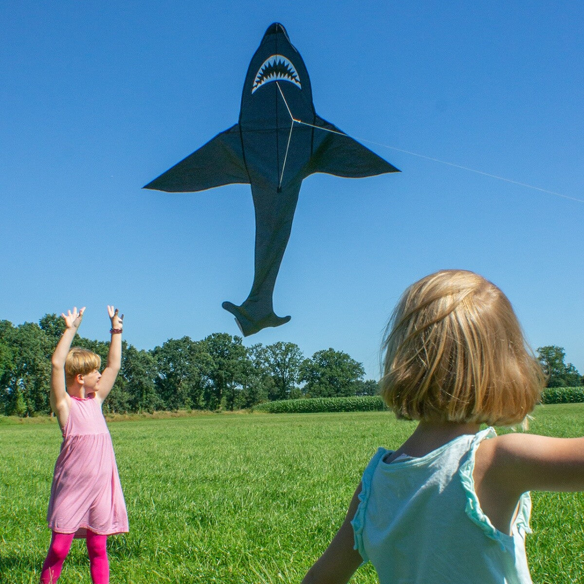 CIM Kinder-Drachen Sky Shark Einleiner-Flugdrachen inkl Drachenschnur fliegen