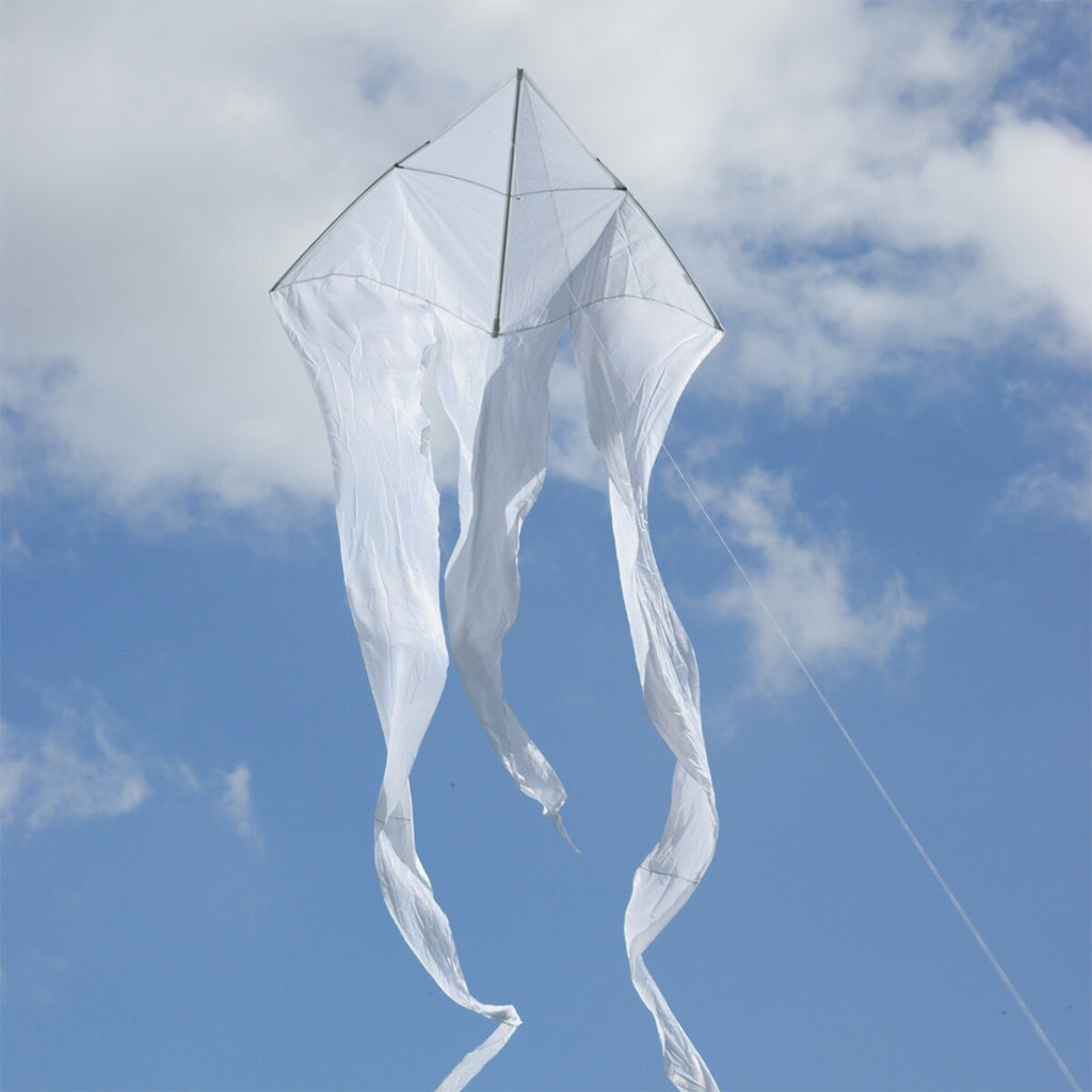 CIM Drachen F-Tail WHITE Einleiner-Flugdrachen inkl. Drachenschnur