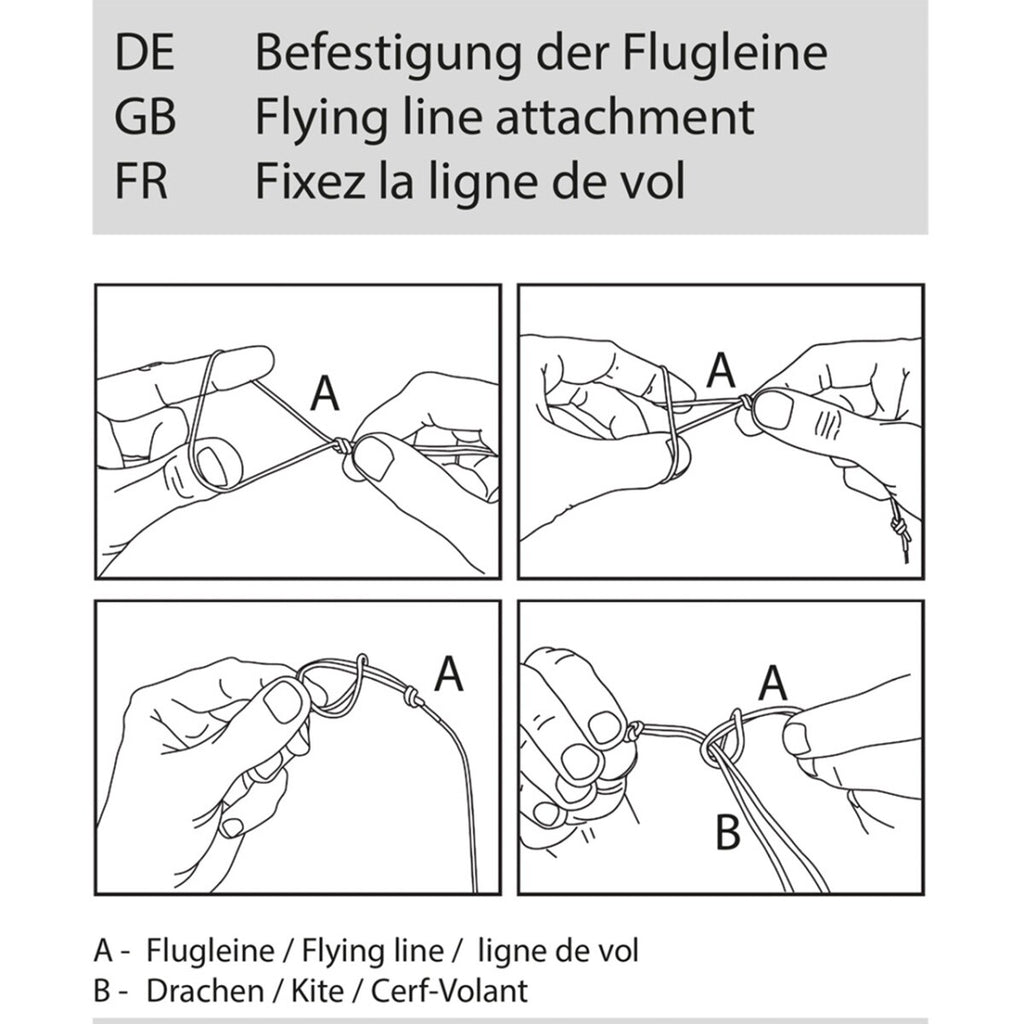 CIM Drachen Penta Waschbär 167cm x 102cm Einleiner Flugdrachen Kinder Schnur