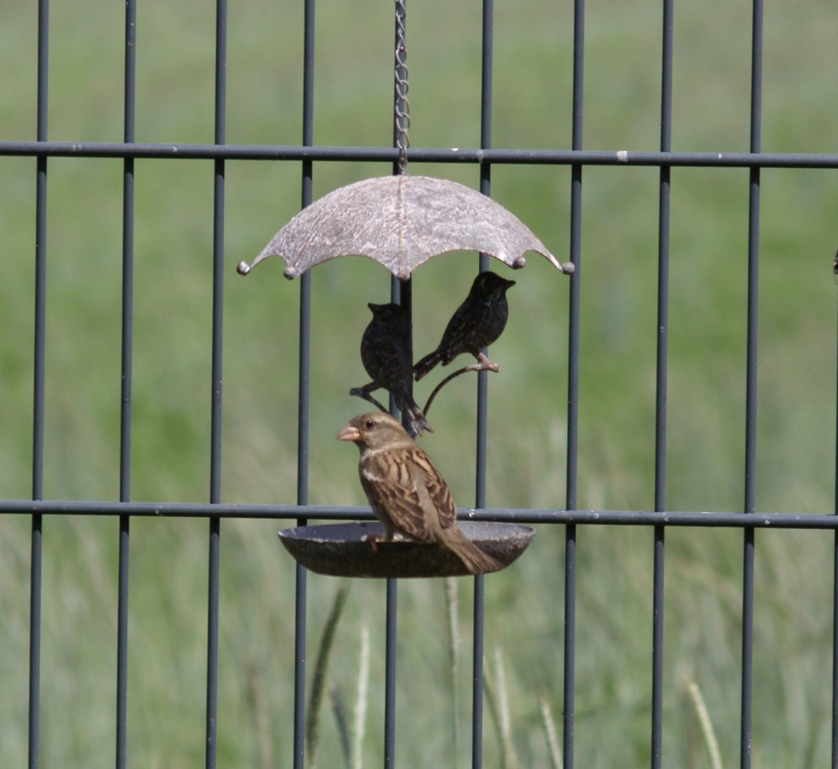 Vogeltränke Vogelbad Futterstelle zum Hängen mit Schirm Shabby Metall Gartendeko