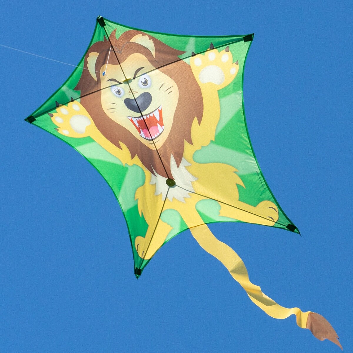 CIM Drachen Penta Löwe 167cm x 102cm Einleiner Flugdrachen Kinder Drachenschnur